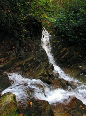 As per TN Landforms website, Glen Falls has now been changed to be these falls that you pass by above Margarette Falls on the way to Bailey Falls and not the ones further up that side branch. Taken 10-27-2017) 
