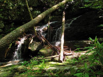 First set of falls/cascades found going up Glen Falls Creek/Hollow Taken 5-28-2011
