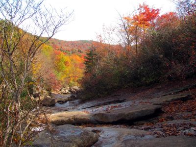 Looking off top of the cascades from the base of the Upper Falls Taken 10-15-2013

