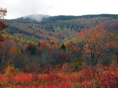 View of the Upper Falls in distance from the Graveyard Fields meadows Taken 10-15-2013
