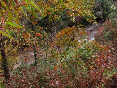 Yellowstone Falls Taken 10-15-2013
