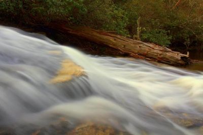 Taken 11-25-2014   Photo by Derrick Hamrick 
