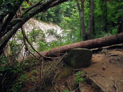 View of upper part of falls as seen from near the end of the side trail to the falls. Taken 7-24-2012.
