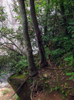 the rope to the upper falls Taken 7-24-2012

