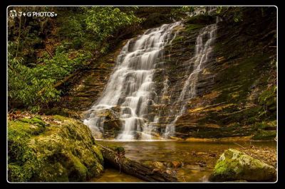 Taken 3-15-2014 Photo by Jon Phillips 
