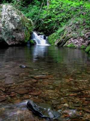 Small falls and cascades located just below Josiah Falls Taken 5-2-2013
