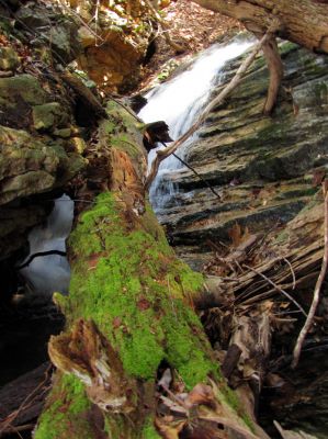 Lilybeth Falls
Taken 4-3-2011
