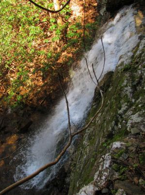 Lilybeth Falls
Taken 4-3-2011
