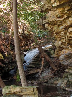 Lilybeth Falls
Taken 4-3-2011
