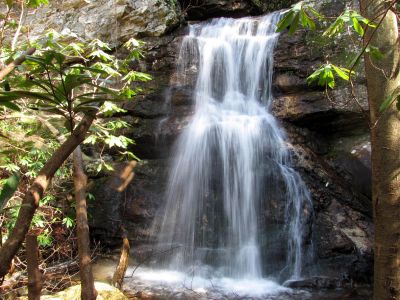 Lilybeth Falls
Taken 4-3-2011
