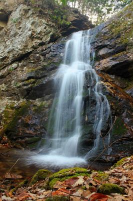 Taken 3-15-2014  Photo by Jason Horton 
