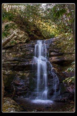 Taken 3-15-2014  Photo by Jon Phillips 
