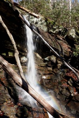 First falls found on Star Branch  (enters into Little Stony Creek)  Taken 12-11-2014
