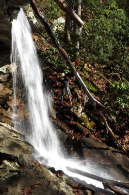 First falls found on Star Branch  (enters into Little Stony Creek)  Taken 12-11-2014
