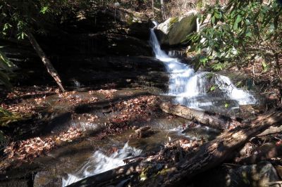 Second  falls found on Star Branch  (enters into Little Stony Creek)  Taken 12-11-2014
