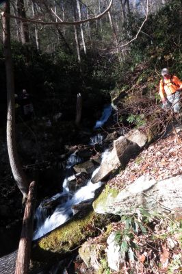 More falls found farther up Star Branch  (enters into Little Stony Creek)  Taken 12-11-2014
