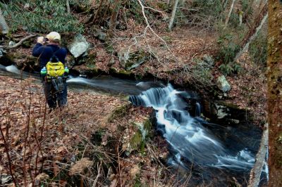 Small falls located where Star Branch enters into Little Stony Creek (where trail crosses) Taken 12-11-2014
