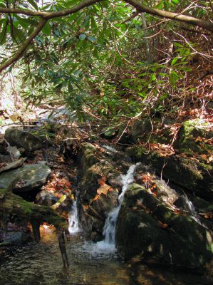 Long Branch Creek
First set of unlisted falls  11-13-2010
