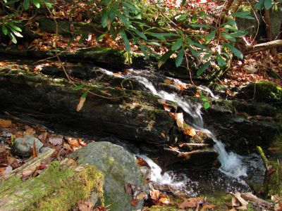 Long Branch Creek
First set of unlisted falls  11-13-2010

