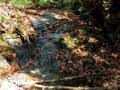 Long Branch Creek
Second set of unlisted falls  11-13-2010
