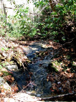 Long Branch Creek
Second set of unlisted falls  11-13-2010
