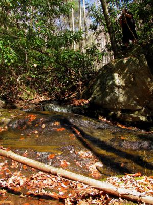 Long Branch Creek
Third set of unlisted falls  11-13-2010
