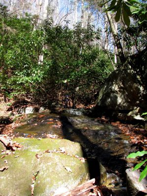Long Branch Creek
Third set of unlisted falls  11-13-2010
