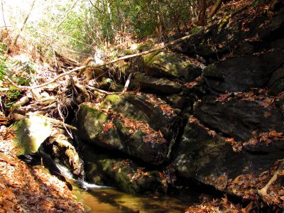 Lower Long Branch Falls #1
11-13-2010
