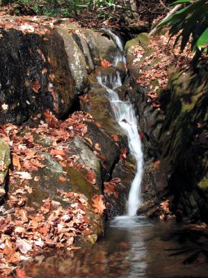 Long Branch Creek
Fourth set of unlisted falls   11-13-2010
