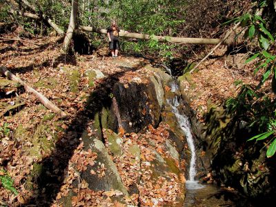 Long Branch Creek
Fourth set of unlisted falls  11-13-2010
