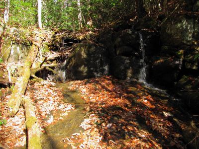 Lower Long Branch Falls #2
11-13-2010
