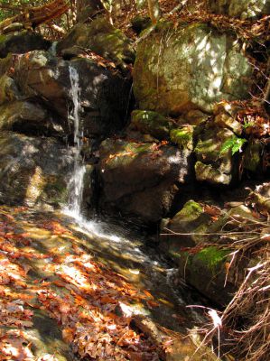 Lower Long Branch Falls #2
11-13-2010
