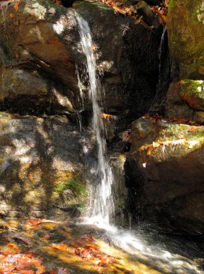 Lower Long Branch Falls #2
11-13-2010

