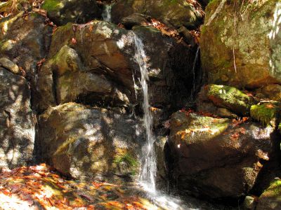 Lower Long Branch Falls #2
11-13-2010
