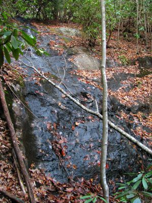 Upper Long Branch Falls
11-13-2010
