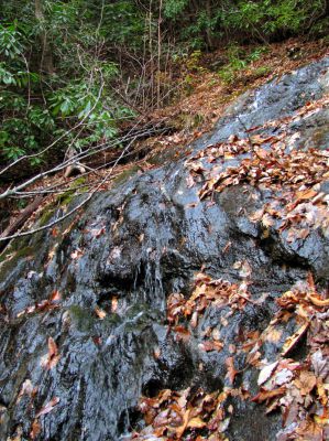 Upper Long Branch Falls
11-13-2010
