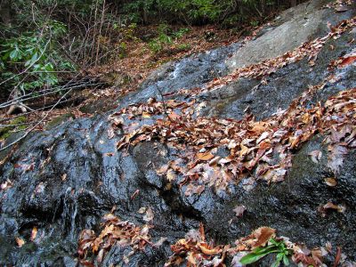 Upper Long Branch Falls
11-13-2010
