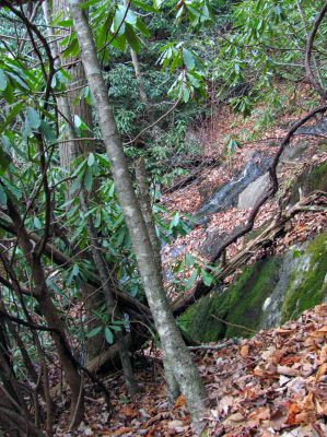 Upper Long Branch Falls
11-13-2010
