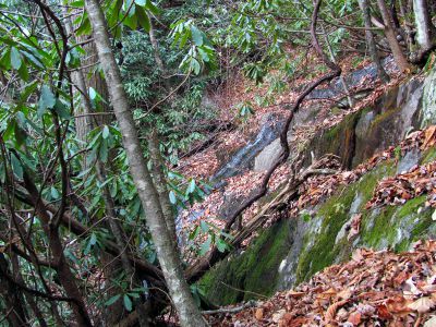 Upper Long Branch Falls
11-13-2010

