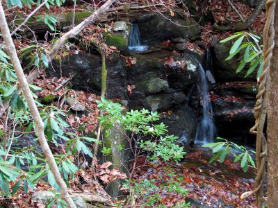 Lower Long Branch Falls #2
11-13-2010
