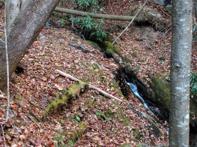 Long Branch Creek
11-13-2010
