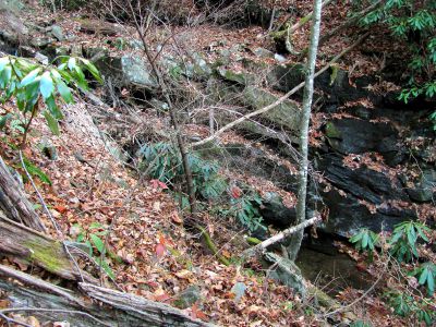 Lower Long Branch Falls #1
11-13-2010
