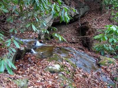 Long Branch Creek 
Third set of unlisted falls   11-13-2010
