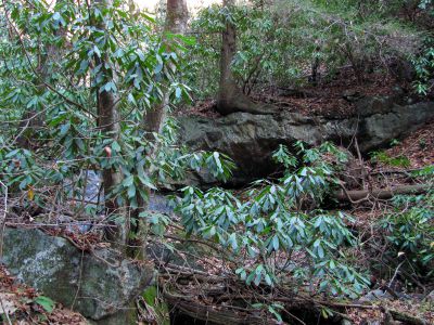 Long Branch Creek
Third set of unlisted falls   11-13-2010
