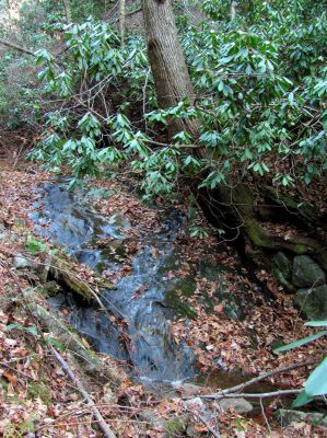 Long Branch Creek
Second set of unlisted falls  11-13-2010
