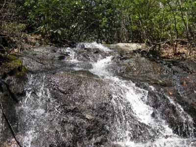 Upper Long Branch Falls
Photo by Dave Aldridge  2010
