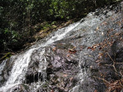 Upper Long Branch Falls
Photo by Dave Aldridge  2010

