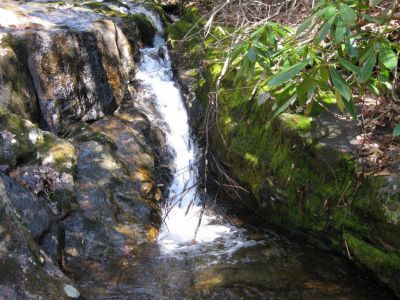 Long Branch Creek
Fourth set of unlisted falls  Photo by Dave Aldridge  2010
