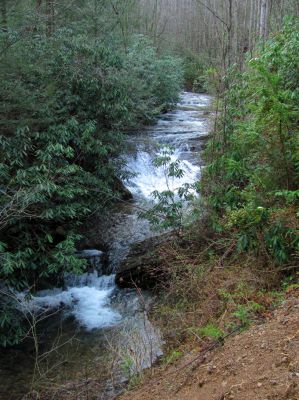 Lower Longarm Branch Falls
Taken 3-12-2011
