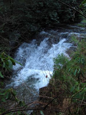 Lower Longarm Branch Falls
Taken 3-12-2011
